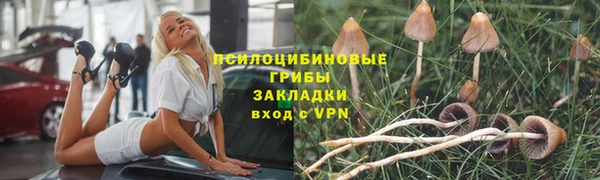 кокаин премиум Алексеевка